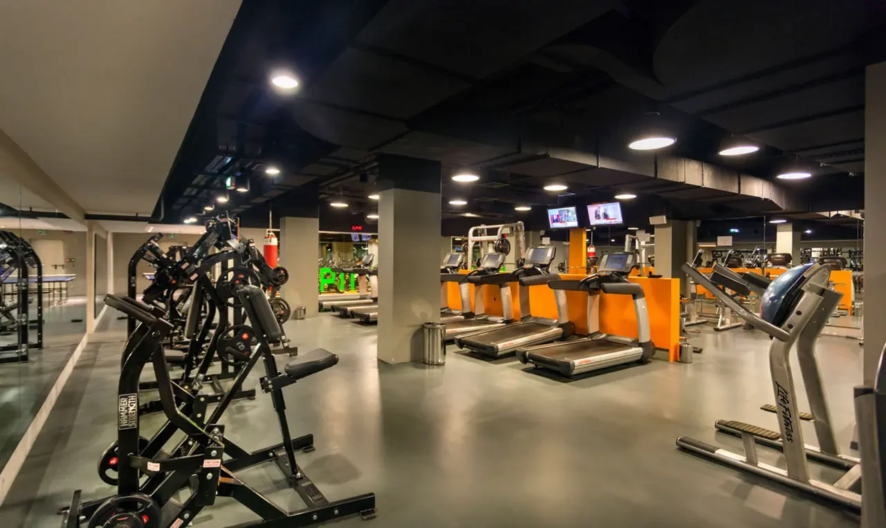 Anthill fitness alanı